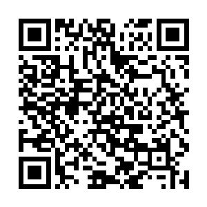 流墨墨感觉脑袋里面仿佛有一只温柔纤软的手在拨弄二维码生成