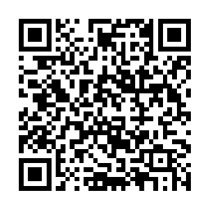 流墨墨扫了周围的破败环境一眼然后释出了飞行灵器二维码生成