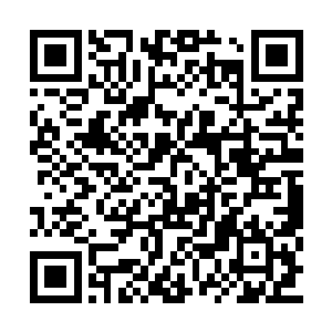 流墨墨指了指已经低空飞行前行的小片白影说道二维码生成