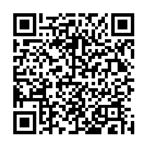 流墨墨挑眉看着面前台子上比常规的玉简大上一倍的大玉简二维码生成