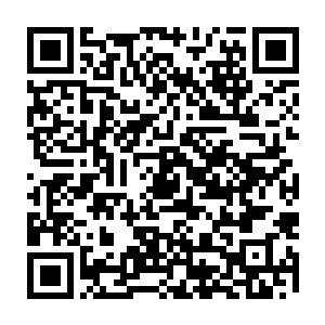 流墨墨挥手把美艳尸体连同那个王座收进了之前收了诅咒肋骨的乾坤袋中二维码生成