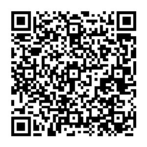 流墨墨探头看着玉简上她的那丝仙力留下的她随意比划的带着她的气息的独特印记二维码生成