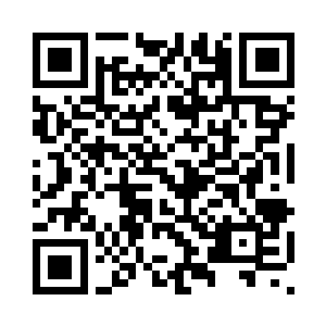 流墨墨放出世界树叶子朝内陆飞去二维码生成