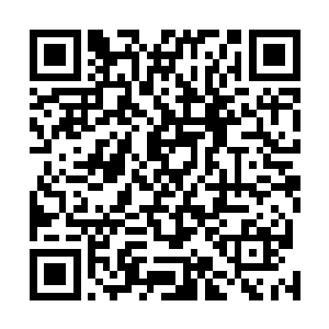 流墨墨无奈的看着所有雪鸢登上后身影淡化的雪鸢嘀咕道二维码生成