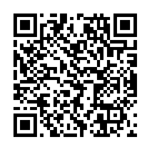 流墨墨有些诧异的看着向来冷静的紫涟漪露出激动莫名二维码生成