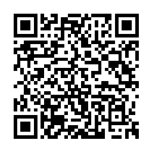 流墨墨本就是血眸的双眸中猛然爆出的嗜血光芒二维码生成