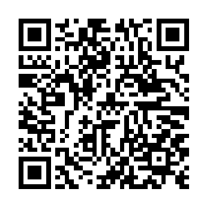 流墨墨没有去管那些金仙被雷网追杀的满地跑的惨状二维码生成