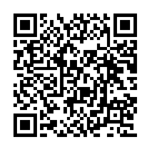 流墨墨激愤的瞪着舔着手指的血色高挑女子叫道二维码生成