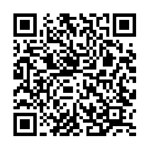 流墨墨特意把没有任何删减的完整版的记忆还给魅业火二维码生成
