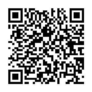 流墨墨狐疑的看了看那即使洞开了口子也看不清的内里二维码生成