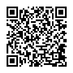 流墨墨的意识体露出一脸你是白痴的神情撇嘴道二维码生成