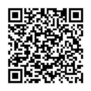 流墨墨盯着那显现出来的禁制散发出的有些陌生感二维码生成