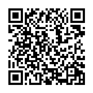 流墨墨看她一击不中就一副怀疑人生的模样挺在半空二维码生成