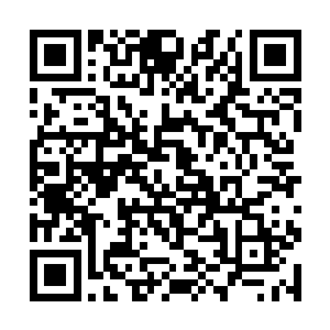 流墨墨突然想起说蓝海和碧海已经被修真者们搜寻过二维码生成
