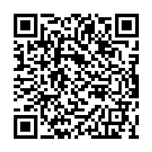 流墨墨等人闻言就看向黄衣少女指向的方向看去二维码生成