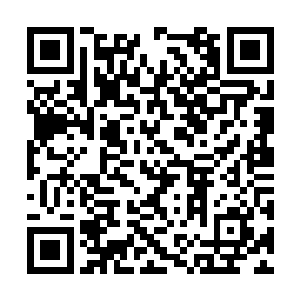 流墨墨自己对宠物的态度他们其实也是能感受到的二维码生成