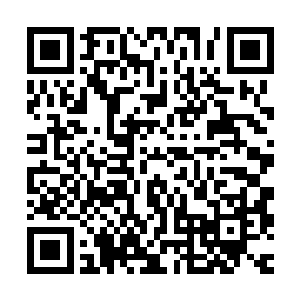 流墨墨血眸闪亮的看着已经能看到大致模样的细长妖船兴奋喊道二维码生成