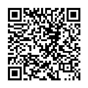 流墨墨讶异的瞅了一眼上端如同金阳的胎种嘀咕了一声二维码生成