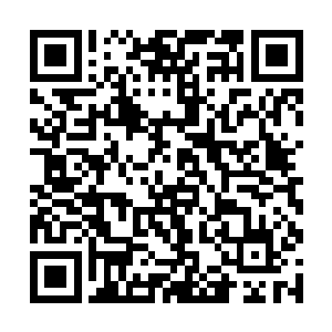 流墨墨面无表情的看着紫涟漪在两人之间变出的矮几二维码生成