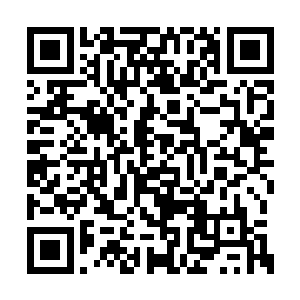 流墨墨黑着脸一把把虚弱的傻鸟塞回了乾坤袋中二维码生成