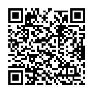 流年王后是要找自己的国王陛下有什么重要的事情二维码生成