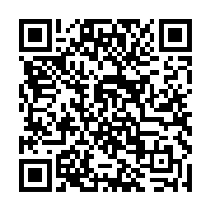 流星城城主在众人当中的形象一下子就跌到了最低点二维码生成