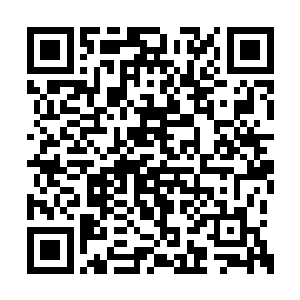 流星城城主府的强者已经将杨风和妞妞拦了下来二维码生成