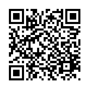 流浪法师本以为林扬会祭出五方旗阵二维码生成