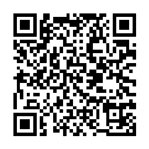 流淌无穷血汗才夺取的新世界双手奉还给原来的主人二维码生成
