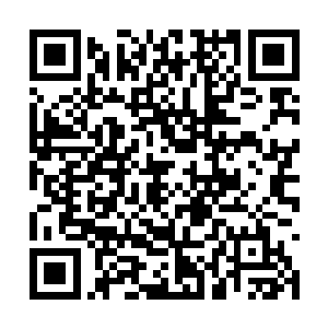 流清茶拍了拍罗怀艳的肩膀一副大姐姐安慰的样子二维码生成