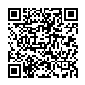 流落街头的楚兰刚开始就犹如过节的老鼠一般人人喊打二维码生成