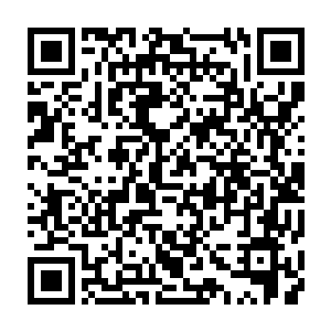 流过火之奥义……水之奥义……土之奥义……冰之奥义……雷之奥义……二维码生成