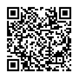 浅黄色的沙粒中偶尔有些海潮推上来的海草与贝壳二维码生成