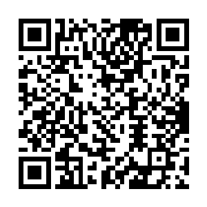测试的进度已经推演到了元始文明征服绝大部分敌人二维码生成