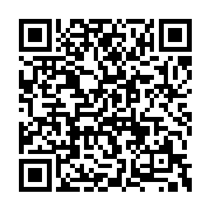 浑然没有注意到被小白一爪子拍到黑暗中的宋玉二维码生成