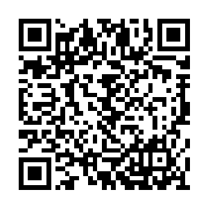 浑身上下的气息也是不再随着口鼻的呼吸而运转二维码生成