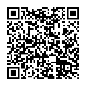 浑身上下都充满了对男人而言拥有着致命诱惑的霍奇森夫人出现了二维码生成