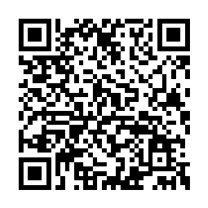 浑身伤痕累累的黑炭是龙驹群中唯一昂首而立的二维码生成