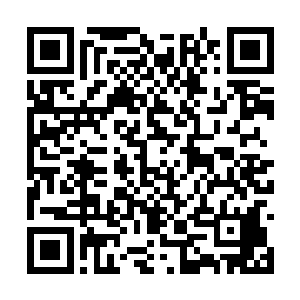 浑身散发出七彩光芒的龙族扫腿了几个血衣人之后二维码生成