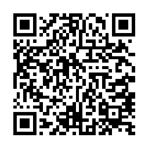 浑身是血的人吃力的扬起脸庞望向上方那张明明脸上带着笑二维码生成