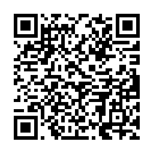 浑身猝是迸发出一股可怕甚至带着几分凶戾的邪气二维码生成