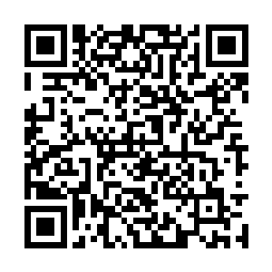 浑身的尸气已经开始将我整个身躯都包裹缠绕起来二维码生成