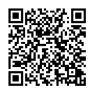 浑身盔甲洪大力还非常蛋逼的给它也弄了一身属性宝石二维码生成