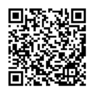 浑身颤抖到不行的科洛丝披着薄薄的白纱走进来了二维码生成