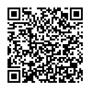 浓密的树叶如同泛起的波浪一层一层地朝他们站立的这个位置涌过来二维码生成