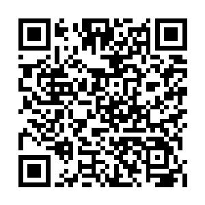 浓浓的夜幕都是对所有在夜间行走的动物的保护二维码生成