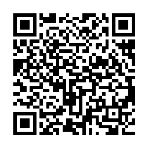 浓的化不开美丽的紫像是把所有紫色的能量都聚到了自己的身上二维码生成