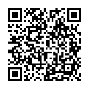 浓郁的药香味让妖兽全身的血脉都跟着动了起来二维码生成