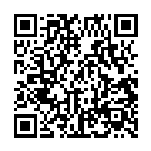 浓郁的血腥味弥散在本就封闭得不严实的车厢内二维码生成