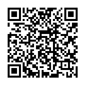 浓郁而刺鼻的血腥气息和从那血色弯刀之中激荡而出二维码生成